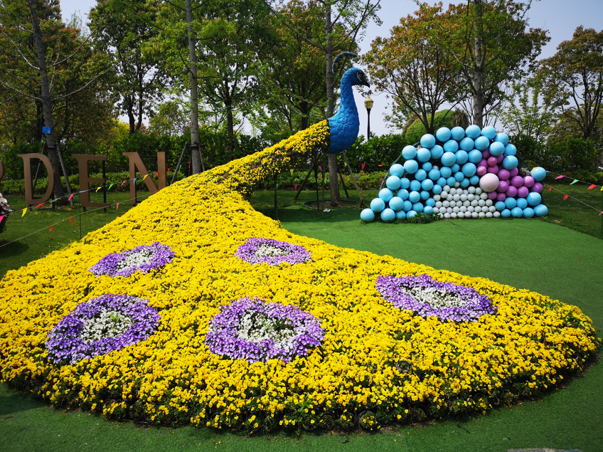阳台草花种植容器